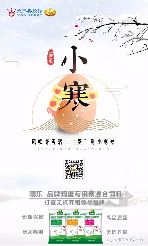 我国家禽产品加工业发展现状及对策