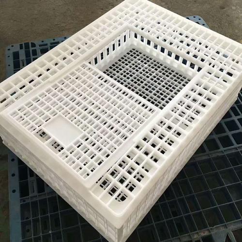 家禽批发厂家价格与生产厂家全解析 养殖户与采购商的选品指南